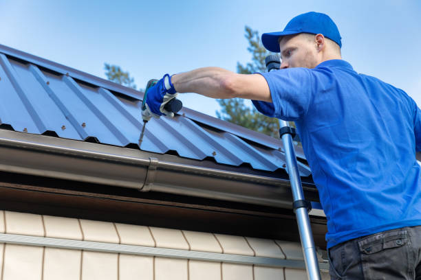 Best Skylight Installation and Repair  in Warren, PA