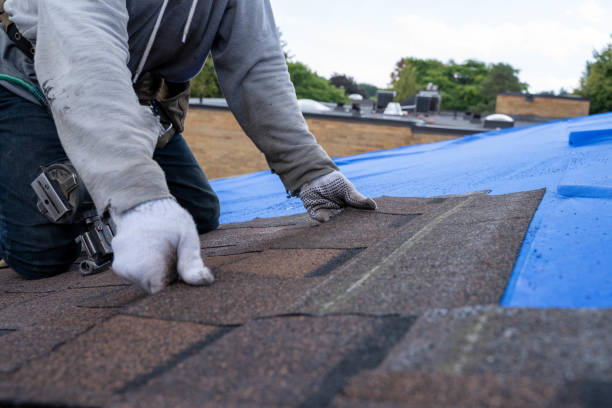 Best Metal Roofing Installation  in Warren, PA